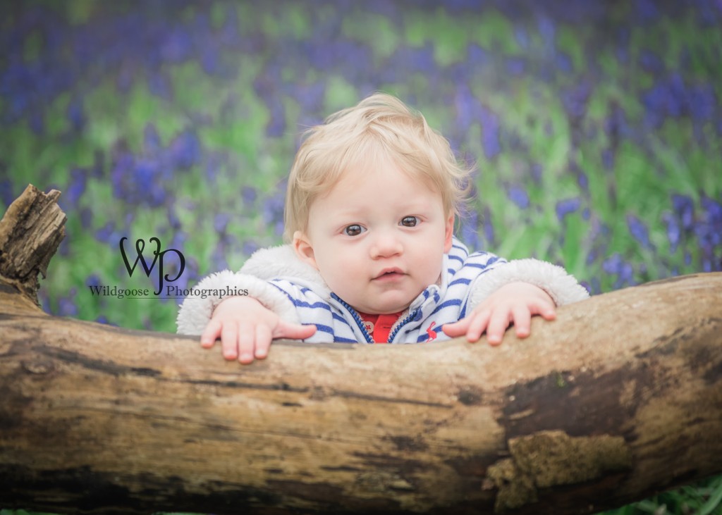 Bluebell photo session Northampton