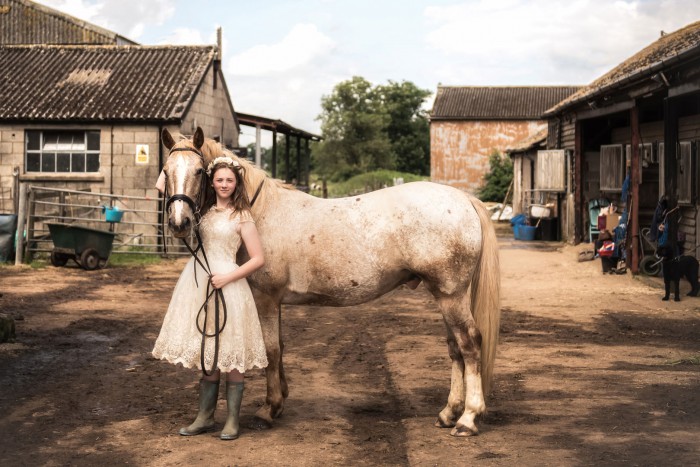 pet and equine photo shoot