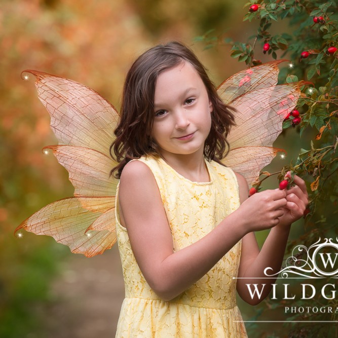 Fairy Photo Shoot