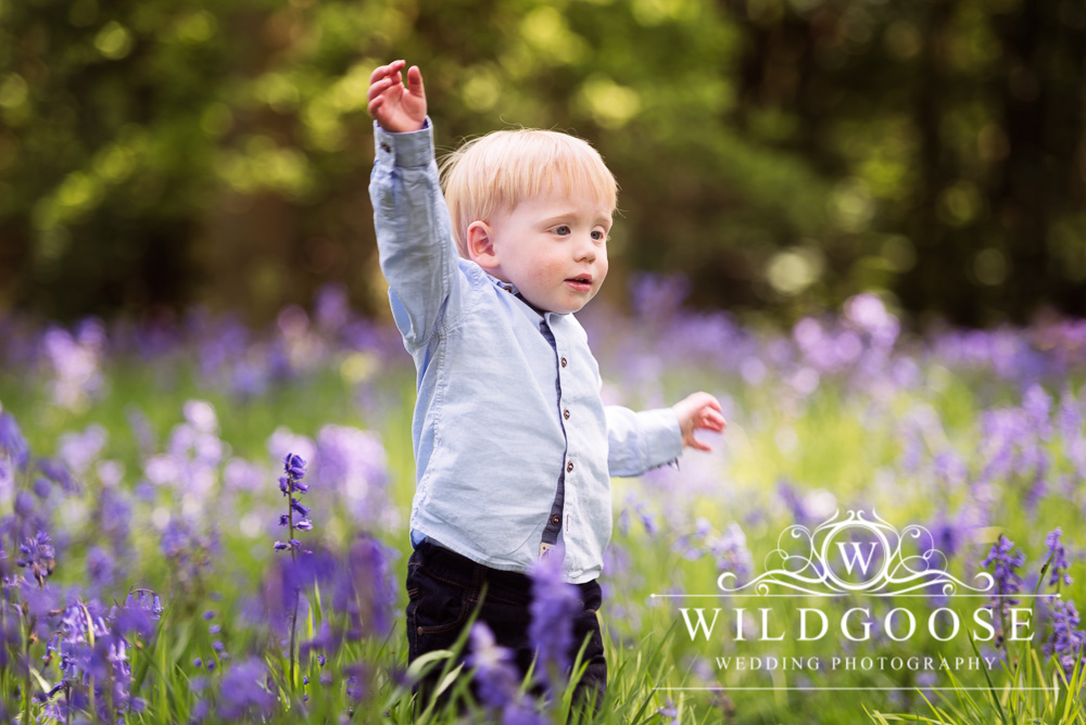 Bluebell Photoshoot in Northamptonshire