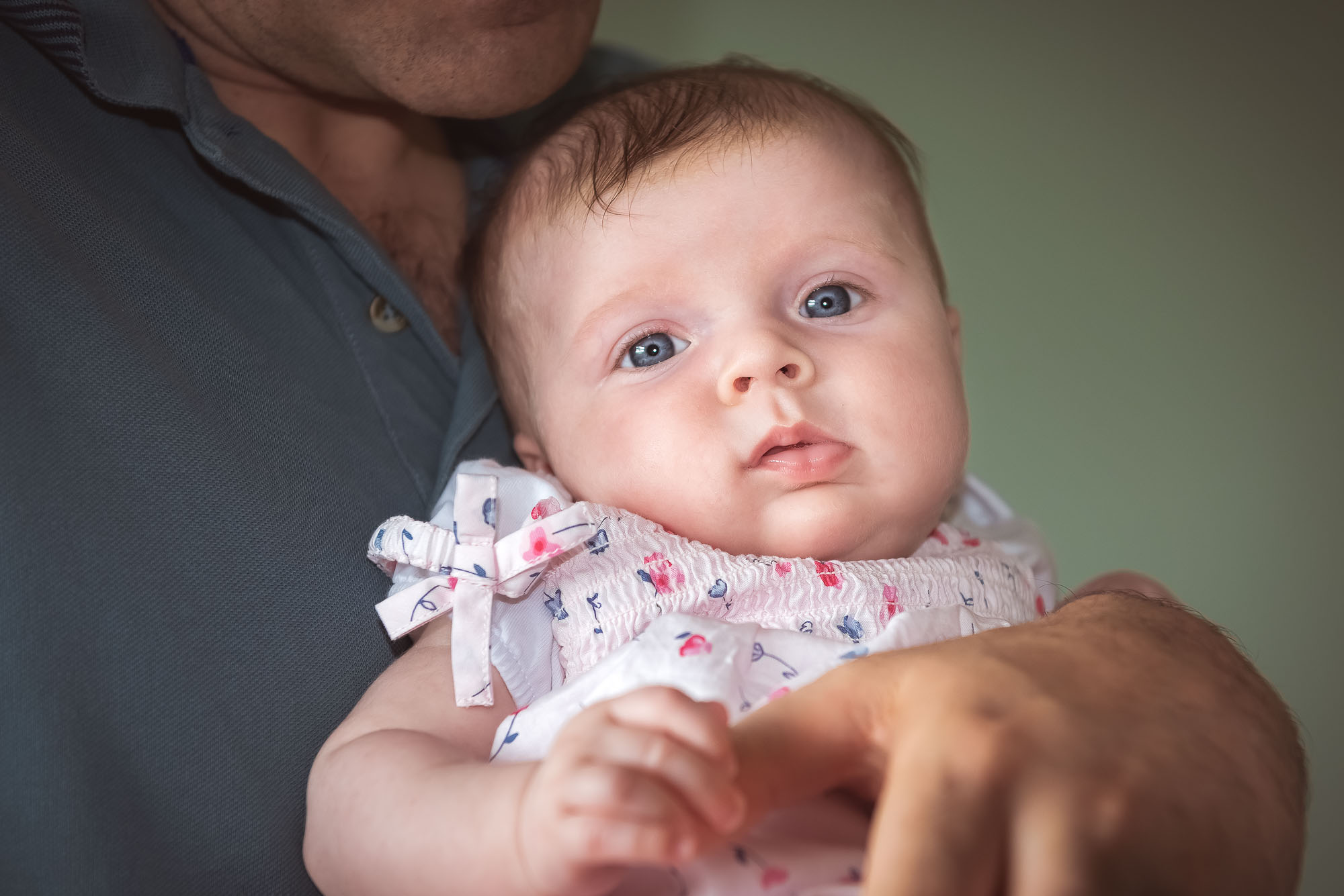 Family Portraits Photographer