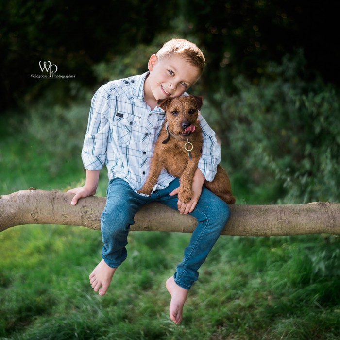 Pet & Equine Photo Shoot - Image 5