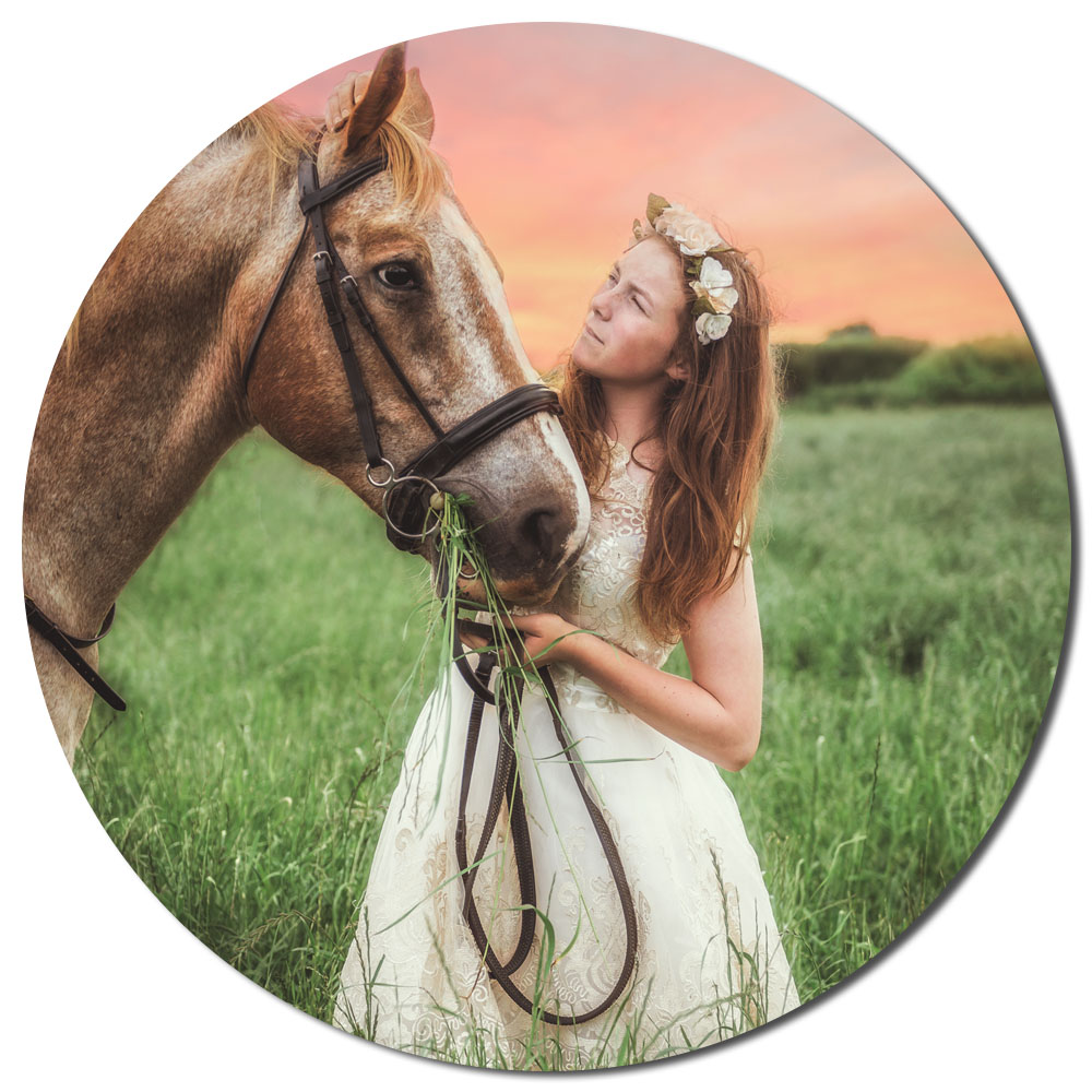Pet & Equine Photography