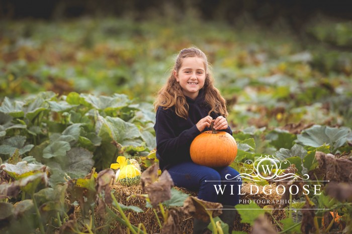 Wappenham Farm Pumpkin Patch