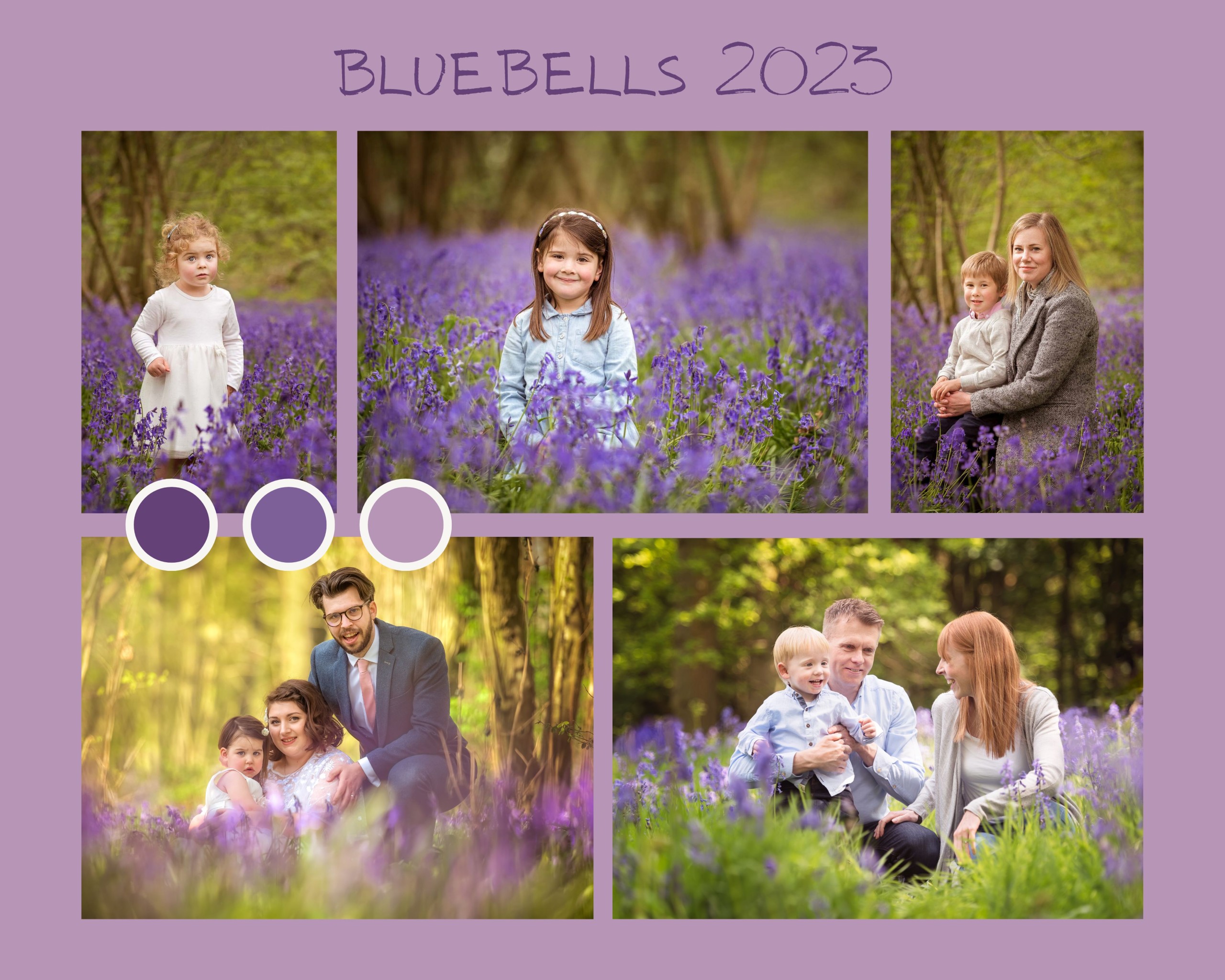Bluebell woods in northampton Bluebell photo shoot
